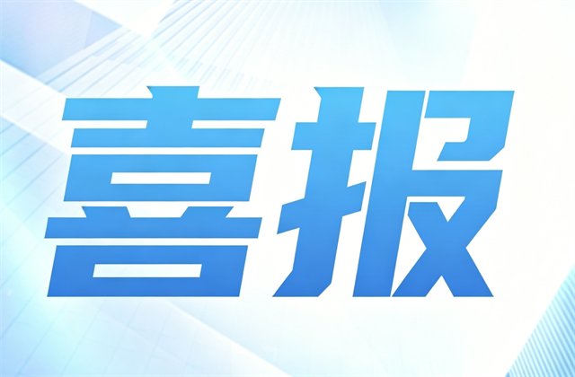 中天控股集团